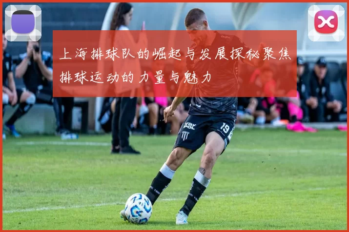 上海排球队的崛起与发展探秘聚焦排球运动的力量与魅力