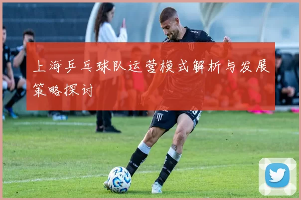 上海乒乓球队运营模式解析与发展策略探讨