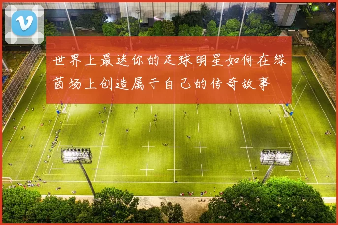 世界上最迷你的足球明星如何在绿茵场上创造属于自己的传奇故事