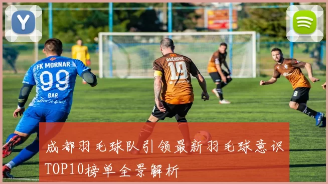 成都羽毛球队引领最新羽毛球意识TOP10榜单全景解析