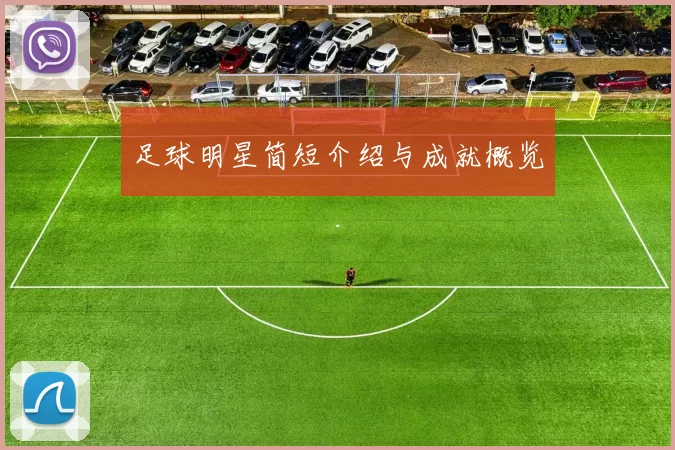足球明星简短介绍与成就概览