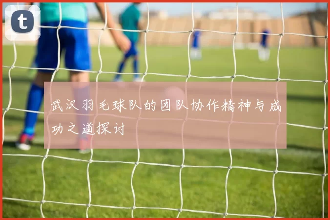 武汉羽毛球队的团队协作精神与成功之道探讨