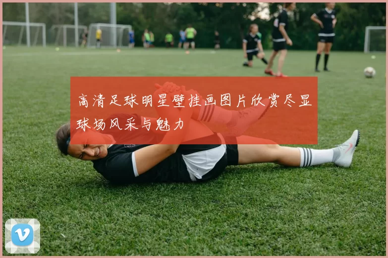 高清足球明星壁挂画图片欣赏尽显球场风采与魅力
