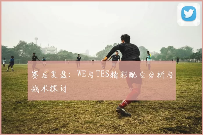 赛后复盘：WE与TES精彩配合分析与战术探讨
