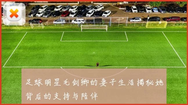 足球明星毛剑卿的妻子生活揭秘她背后的支持与陪伴