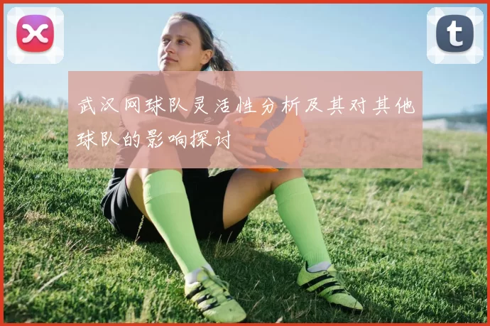 武汉网球队灵活性分析及其对其他球队的影响探讨