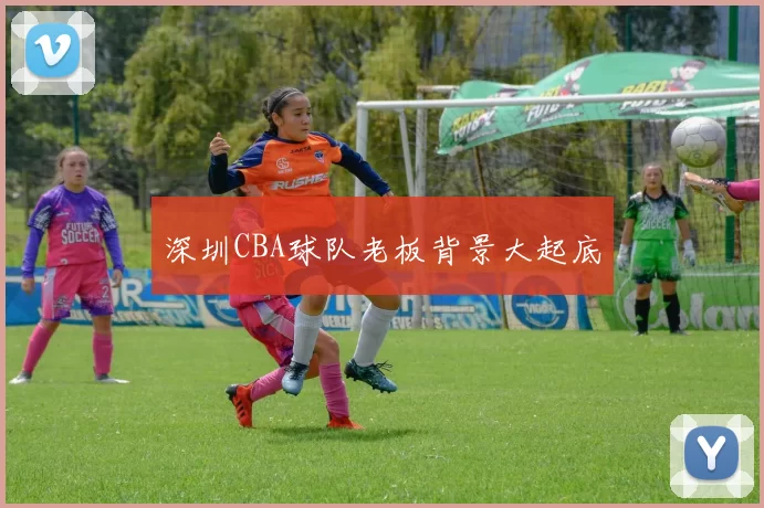 深圳CBA球队老板背景大起底