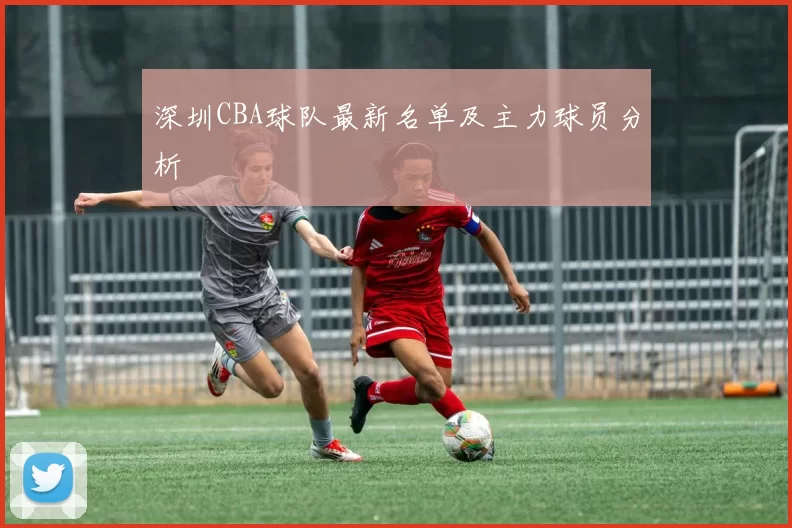 深圳CBA球队最新名单及主力球员分析