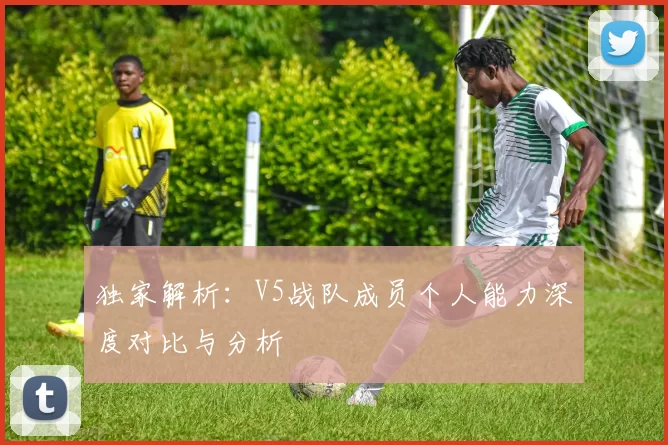 独家解析：V5战队成员个人能力深度对比与分析