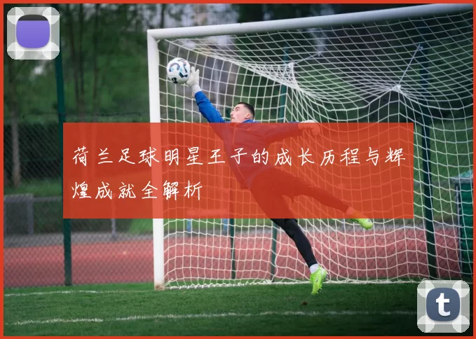 荷兰足球明星王子的成长历程与辉煌成就全解析