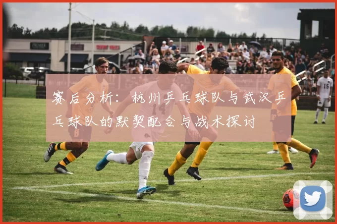 赛后分析：杭州乒乓球队与武汉乒乓球队的默契配合与战术探讨