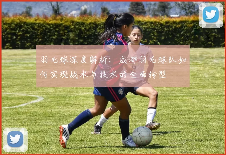 羽毛球深度解析：成都羽毛球队如何实现战术与技术的全面转型