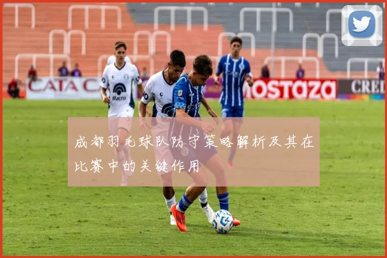 成都羽毛球队防守策略解析及其在比赛中的关键作用