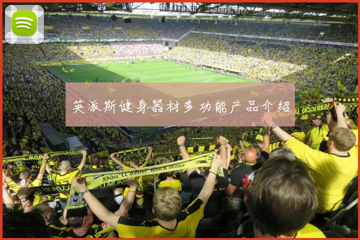 英派斯健身器材多功能产品介绍