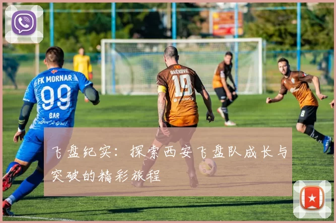 飞盘纪实：探索西安飞盘队成长与突破的精彩旅程