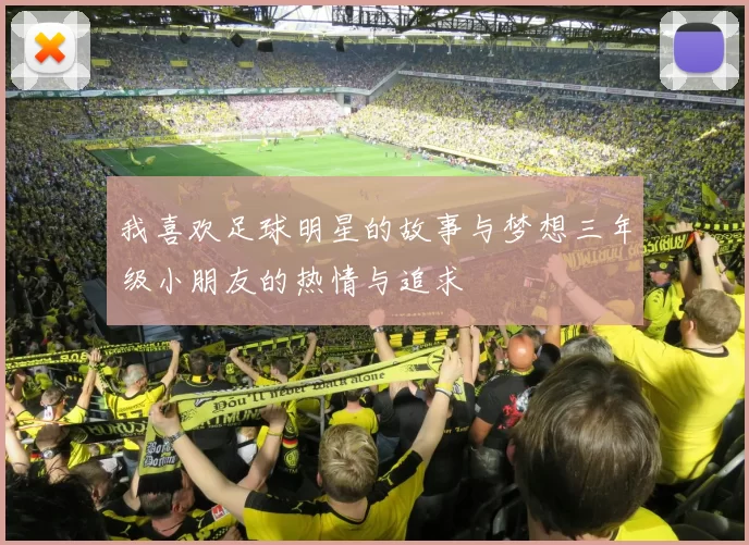 我喜欢足球明星的故事与梦想三年级小朋友的热情与追求