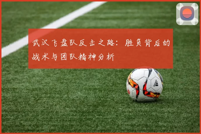 武汉飞盘队反击之路：胜负背后的战术与团队精神分析