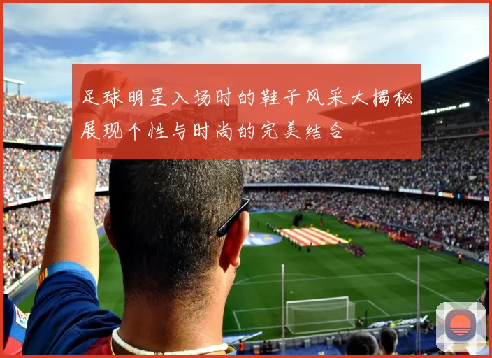 足球明星入场时的鞋子风采大揭秘展现个性与时尚的完美结合