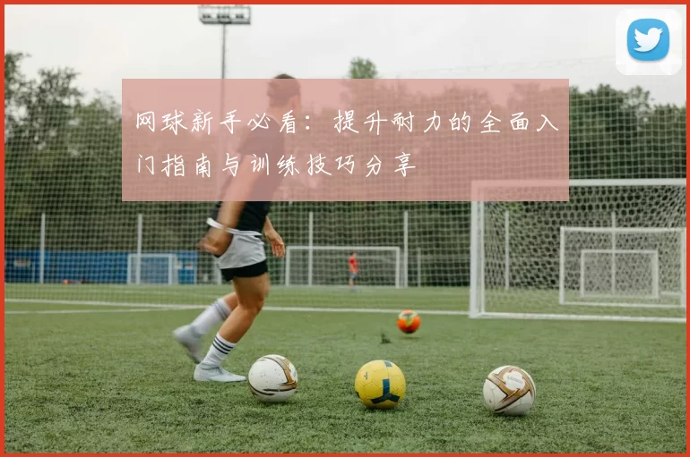 网球新手必看：提升耐力的全面入门指南与训练技巧分享