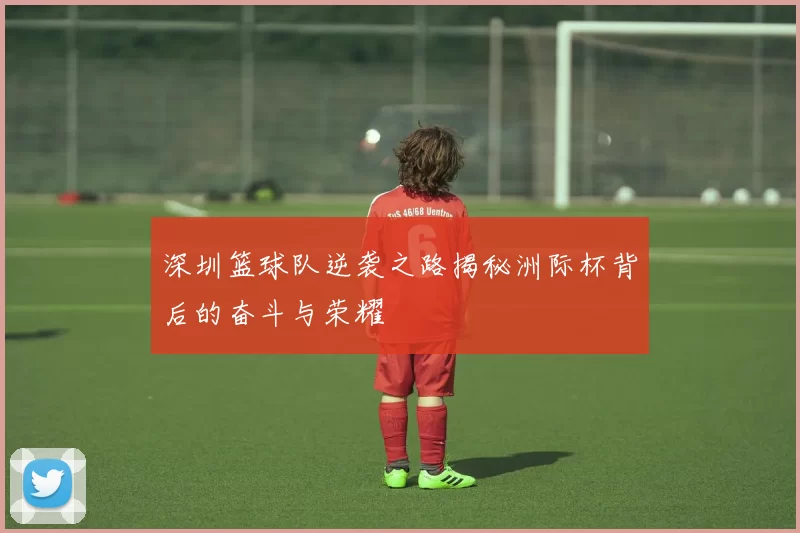 深圳篮球队逆袭之路揭秘洲际杯背后的奋斗与荣耀