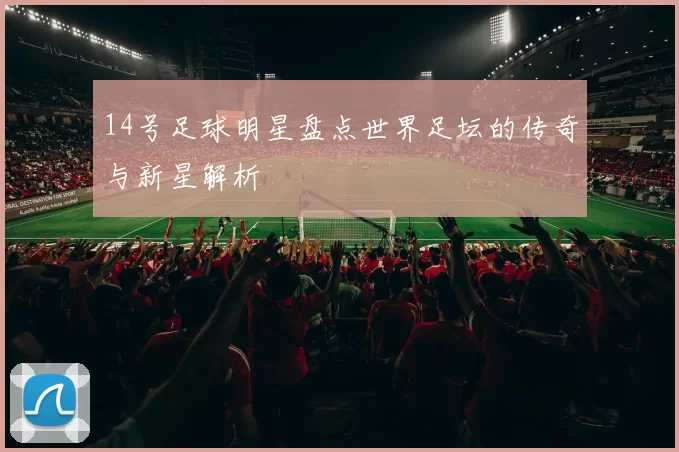 14号足球明星盘点世界足坛的传奇与新星解析