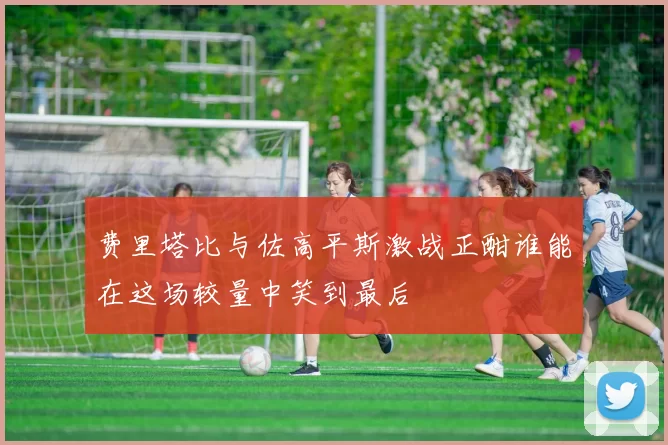 费里塔比与佐高平斯激战正酣谁能在这场较量中笑到最后