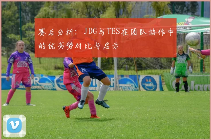 赛后分析：JDG与TES在团队协作中的优劣势对比与启示