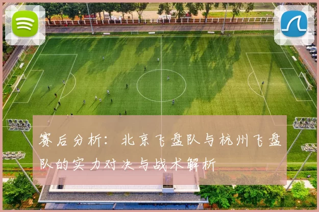 赛后分析：北京飞盘队与杭州飞盘队的实力对决与战术解析
