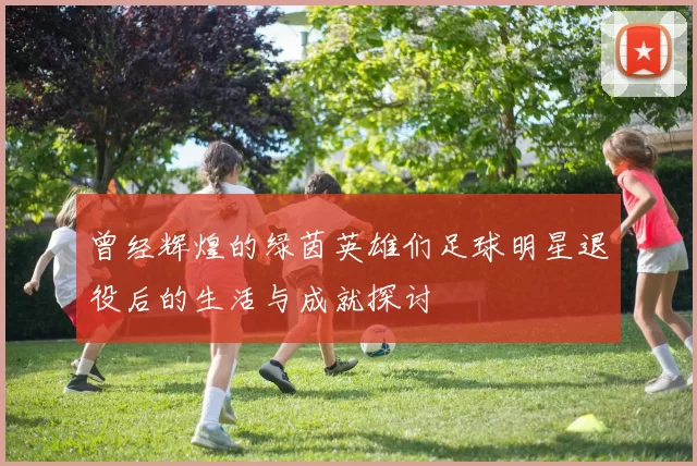 曾经辉煌的绿茵英雄们足球明星退役后的生活与成就探讨