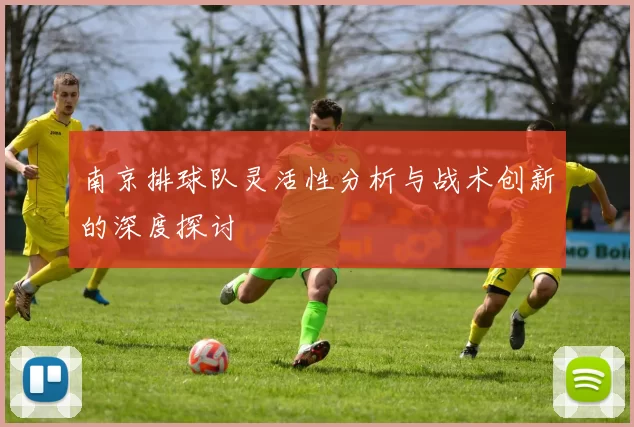 南京排球队灵活性分析与战术创新的深度探讨
