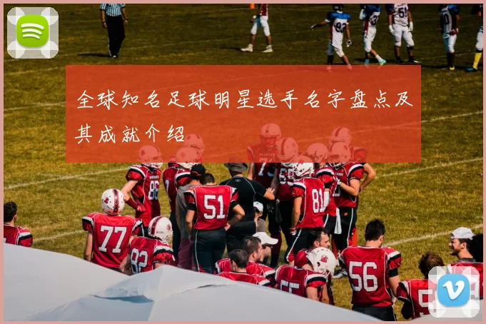 全球知名足球明星选手名字盘点及其成就介绍