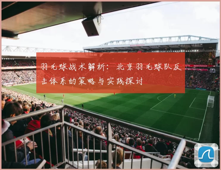 羽毛球战术解析：北京羽毛球队反击体系的策略与实践探讨