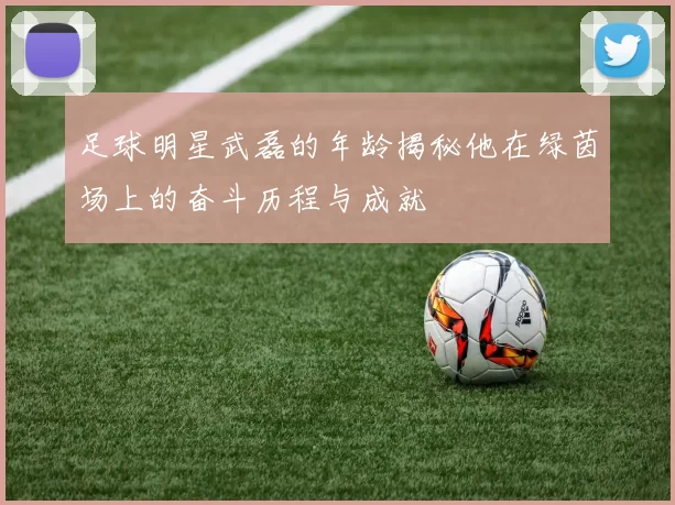 足球明星武磊的年龄揭秘他在绿茵场上的奋斗历程与成就