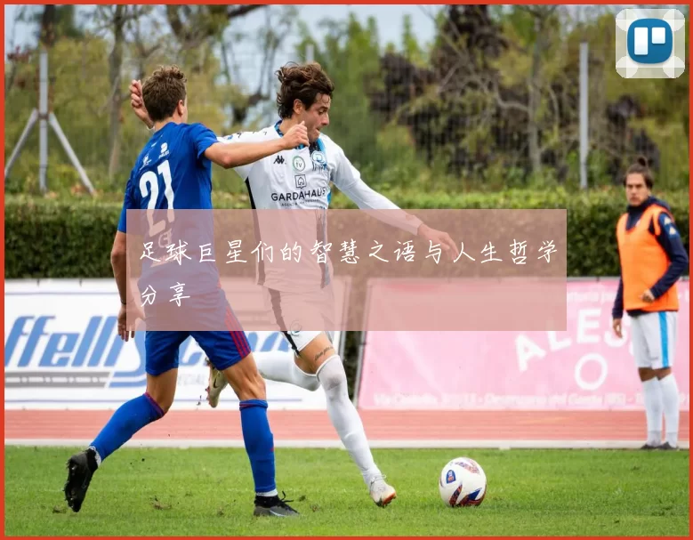 足球巨星们的智慧之语与人生哲学分享