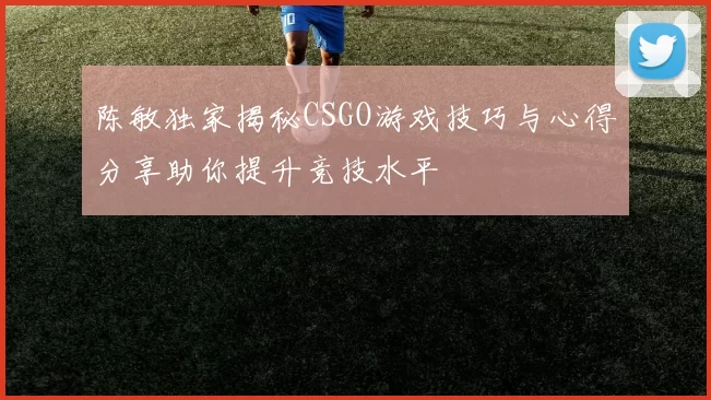 陈敏独家揭秘CSGO游戏技巧与心得分享助你提升竞技水平